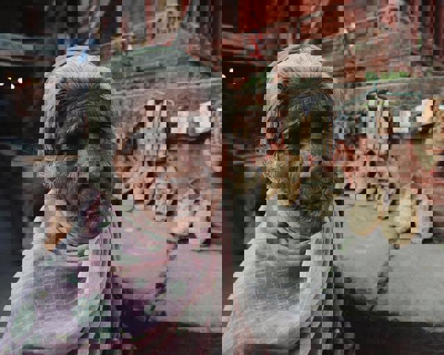 Mercado artesanal nocturno atrae a multitudes con productos únicos y música en vivo